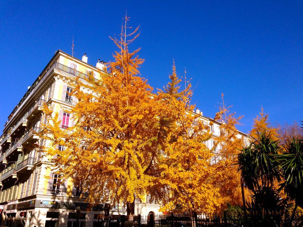 Studios Nice French Riviera Ngoại thất bức ảnh
